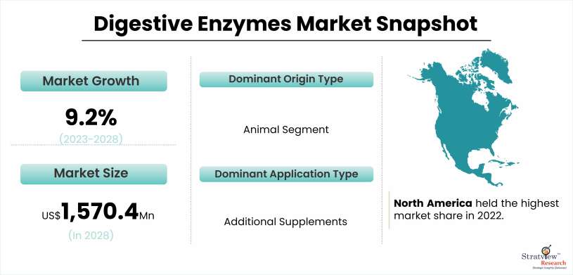 Digestive Enzymes Market Snapshot